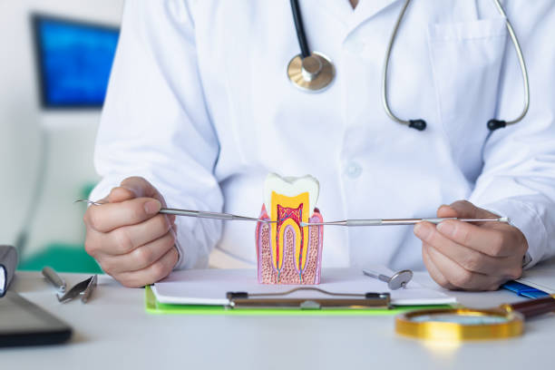 Best Emergency Treatment for Dental Infections or Abscesses in Bryn Mawr Skyy, WA